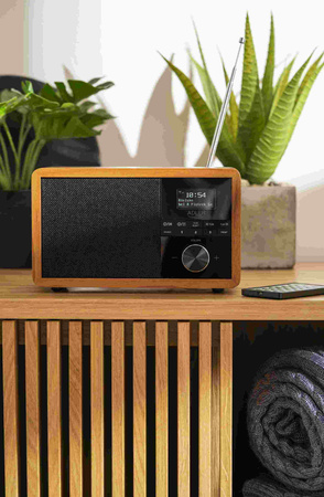 Radio DAB+ z Bluetooth, Adler AD 1184
