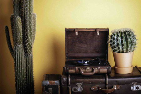 Gramofon Walizkowy Retro z Wbudowanymi Głośnikami, Przenośny, Camry CR 1149